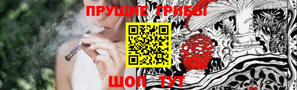 Галлюциногенные грибы Magic Shrooms  Вход с VPN  Псилоцибиновые грибы ЛСД  Пенза 