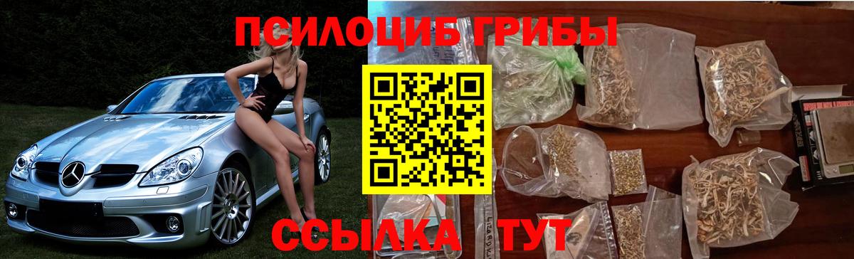 Псилоцибиновые грибы GOLDEN TEACHER Пенза