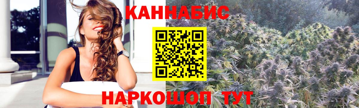 Марихуана план Пенза